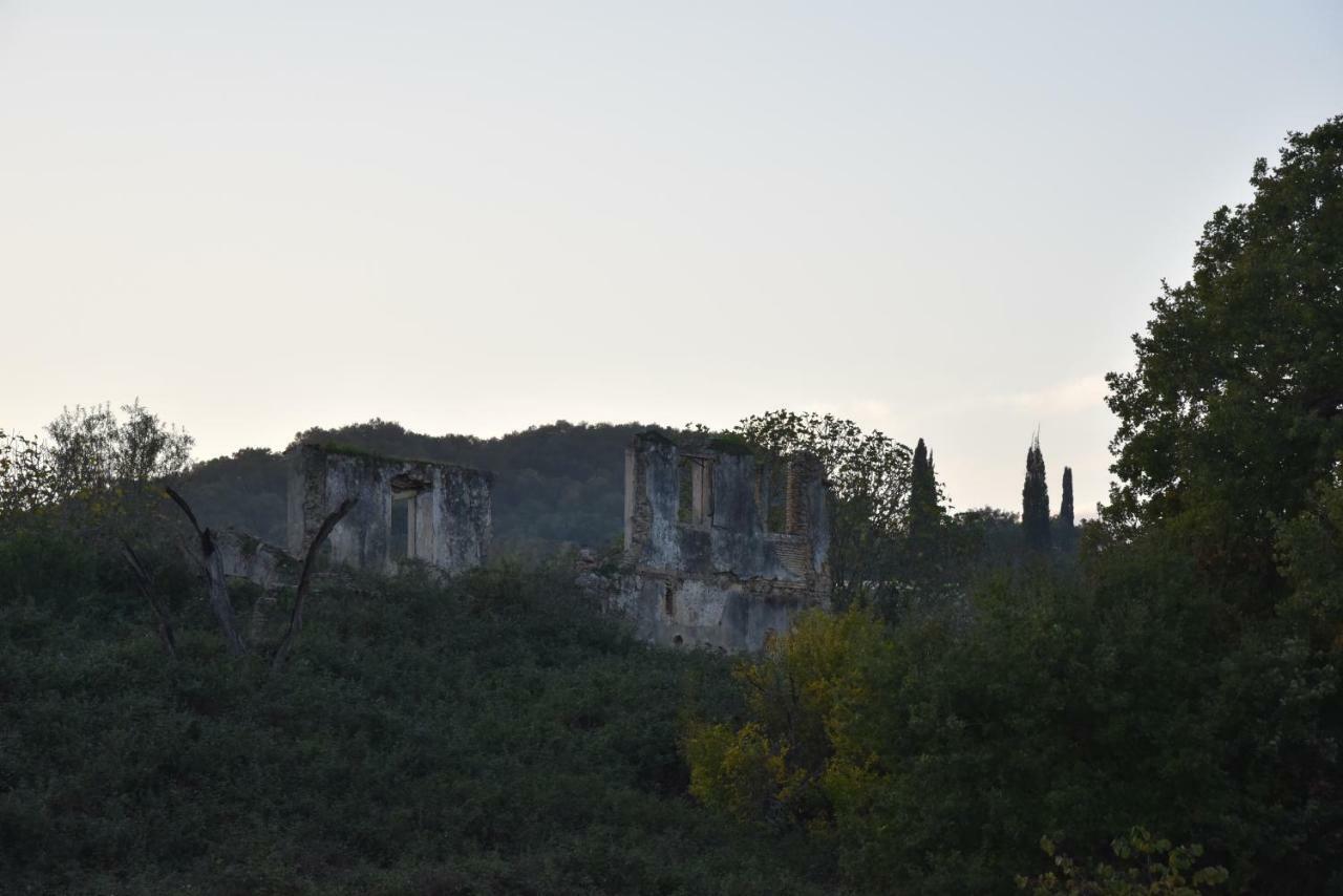 Вилла Epavlis Nadine Corfu Гоувия Экстерьер фото
